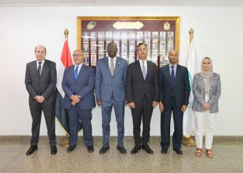 Egypt, Sudanese post authorities probe enhancing joint co-operation