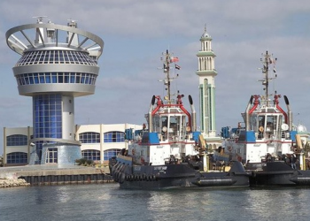 39 ships, cargo vessels handled at Damietta Port over past 24 hours