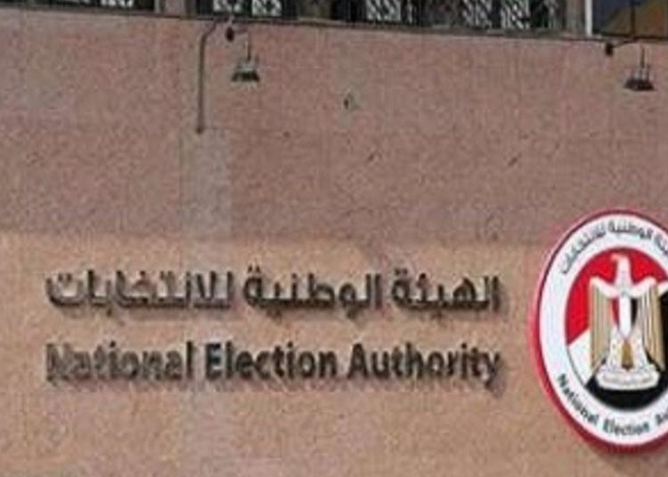 Logistic reparations for presidential elections underway 1 - Egyptian Gazette