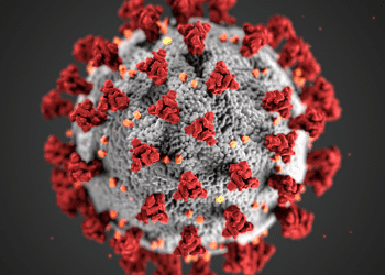 `No reported cases of COVID-19 variant EG.5 in Egypt`