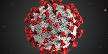`No reported cases of COVID-19 variant EG.5 in Egypt`