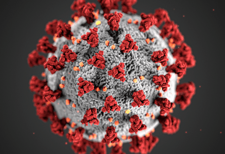 `No reported cases of COVID-19 variant EG.5 in Egypt` 2 - Egyptian Gazette `No reported cases of COVID-19 variant EG.5 in Egypt` 1 - Egyptian Gazette