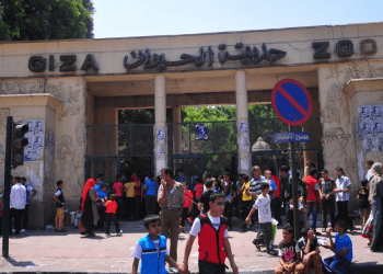 ‘Int’l consultant develops Giza Zoo renovation plan’