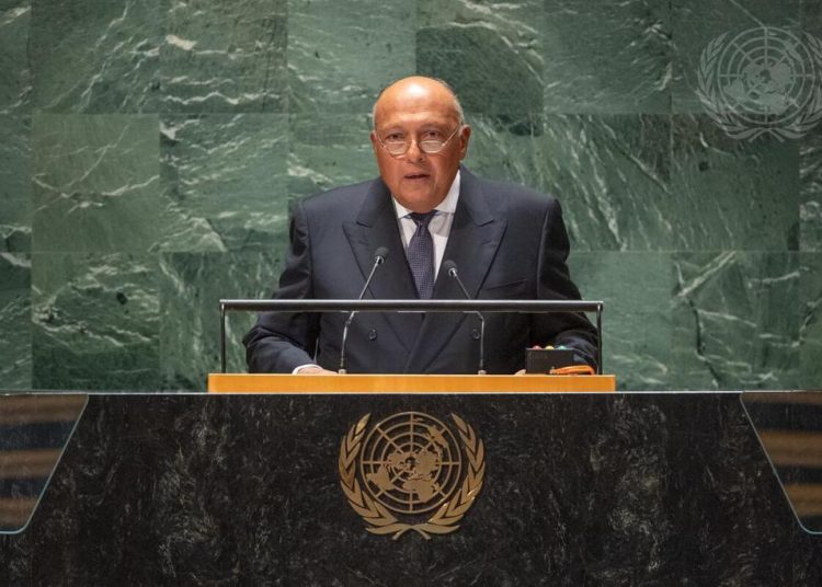 FM urges reforming global financial structure, developing int'l funding system 2 - Egyptian Gazette FM urges reforming global financial structure, developing int'l funding system 1 - Egyptian Gazette