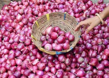 Gov’t denies revoking decision to ban onion exports