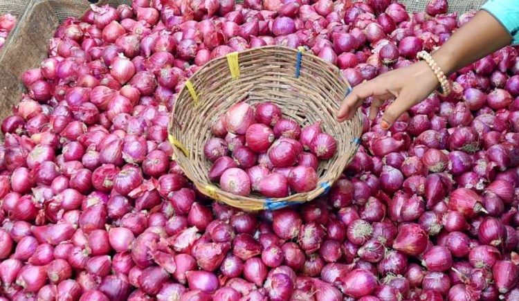 Gov't denies revoking decision to ban onion exports 2 - Egyptian Gazette Gov't denies revoking decision to ban onion exports 1 - Egyptian Gazette