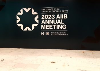 ‘Egypt opening up to the world to seek sustainable development partnerships’