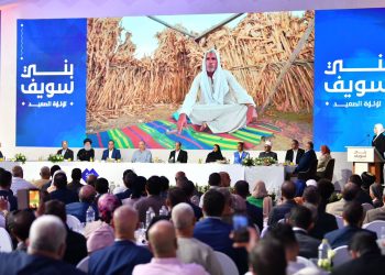 Over 4,000 “Decent Life” projects executed over past 9 years in Upper Egypt