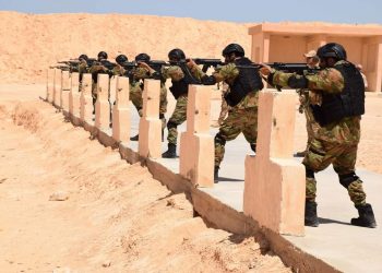 Bright Star military exercise between Egypt, US continues