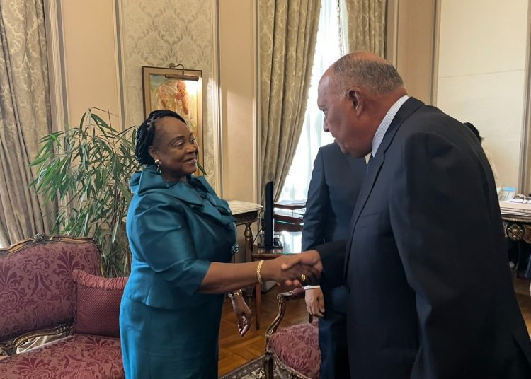 Shoukry asserts importance of enhancing parliamentary cooperation with Equatorial Guinea 2 - Egyptian Gazette Shoukry asserts importance of enhancing parliamentary cooperation with Equatorial Guinea 1 - Egyptian Gazette