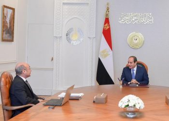 Sisi reviews efforts to upgrade litigation system nationwide