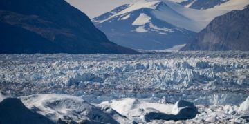 Scientists voyage to Greenland’s melting sanctuary