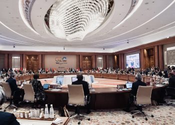 Sisi: political will needed in adopting measures guaranteeing better future for humanity