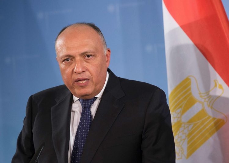 Foreign Minister Sameh Shoukry