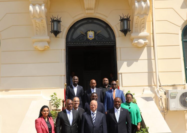 Co-operation talks with South Africa 1 - Egyptian Gazette