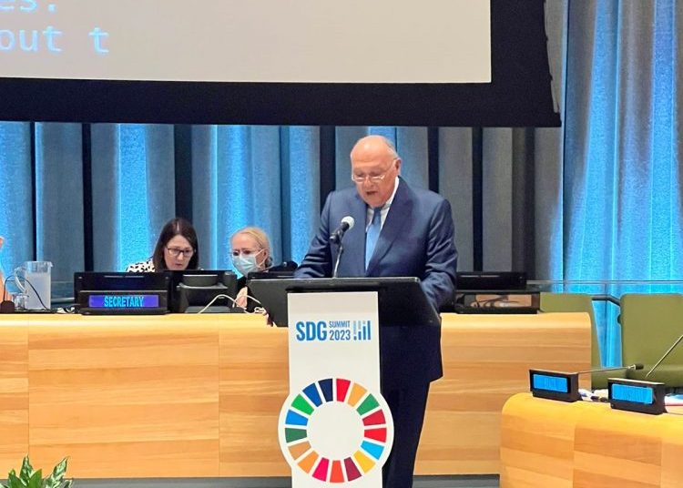 Egypt stresses importance of accelerating pace of achieving SDGs 1 - Egyptian Gazette