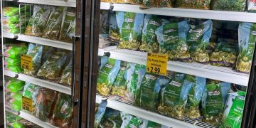 City Farm targets $50m in sales of frozen agricultural products in American market 1 - Egyptian Gazette City Farm targets $50m in sales of frozen agricultural products in American market