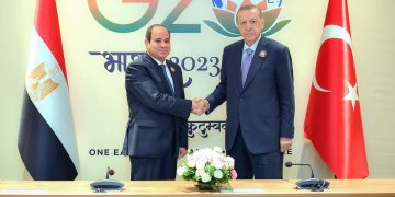 Sisi meets his Turkish counterpart in New Delhi