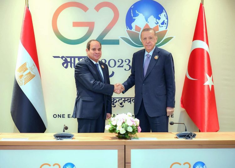 Sisi meets his Turkish counterpart in New Delhi 1 - Egyptian Gazette