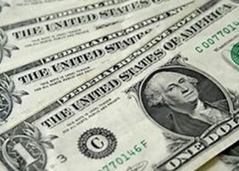 Dollar exchange rate stable at start of Sunday's transactions 7 - Egyptian Gazette