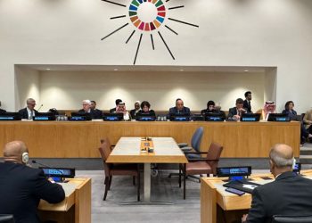 Egypt urges support to Sudan neighbouring states, warns against illegal migration