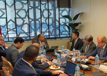 Egypt looks forward to boosting developmental cooperation in sustainable investment activities