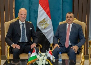 Egypt, Hungary discuss co-operation in military production domain