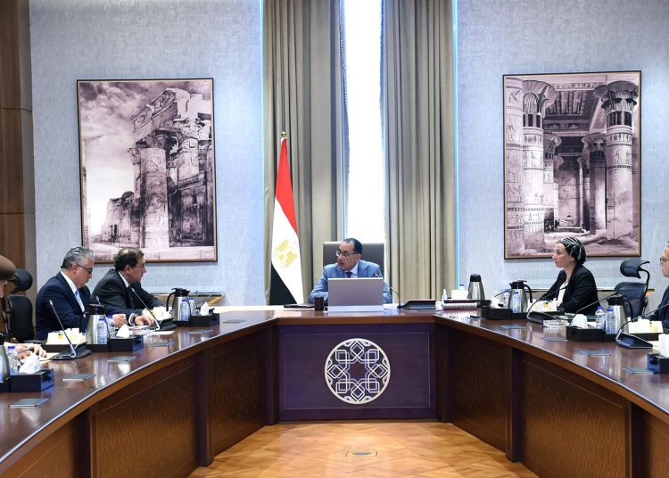 PM follows up new projects in China-Egypt TEDA Zone 1 - Egyptian Gazette