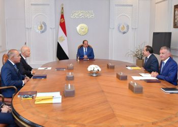 President: Egypt optimising energy resources utilisation, building on recent successes