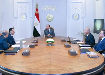 Sisi reviews plan to reform, develop public business sector companies