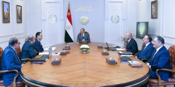 Sisi reviews plan to reform, develop public business sector companies