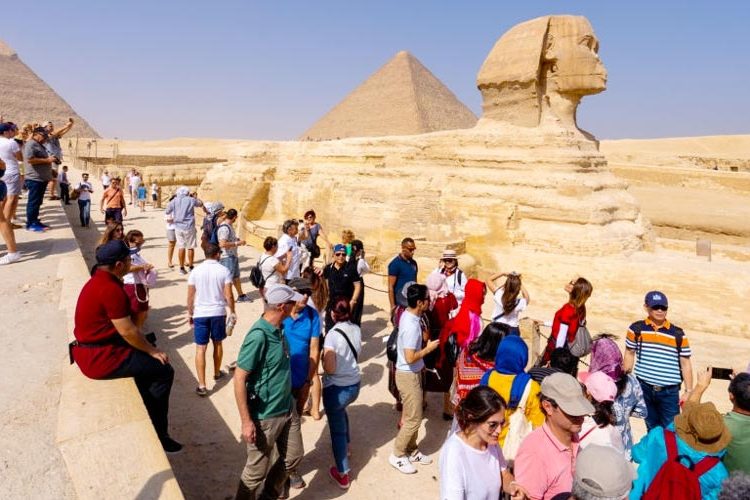 Working hard to put tourism back on its feet 2 - Egyptian Gazette Working hard to put tourism back on its feet 1 - Egyptian Gazette