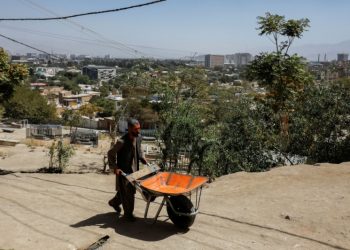 UN food agency cuts rations to 2 million Afghans as funds dry up