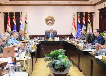 Sisi orders immediate relief aid to Libya, Morocco