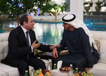 President Sisi meets UAE president
