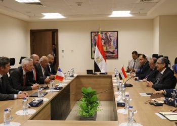 Cairo, Paris eager to enhance bilateral power ties