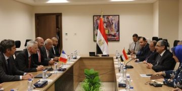 Cairo, Paris eager to enhance bilateral power ties