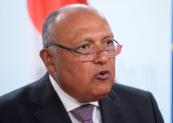 Shoukry asserts Egypt’s support for accelerating efforts to solve crisis in Niger