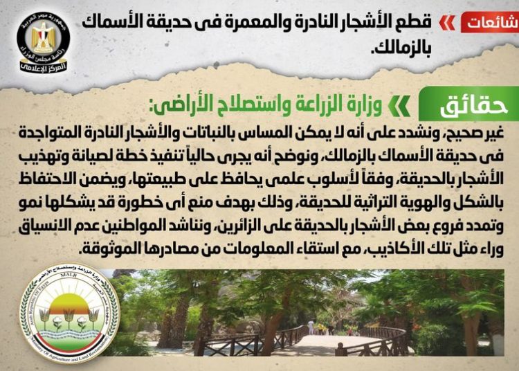 Gov't: News of cutting rare tress in Aquarium Grotto Garden baseless 2 - Egyptian Gazette Gov't: News of cutting rare tress in Aquarium Grotto Garden baseless 1 - Egyptian Gazette