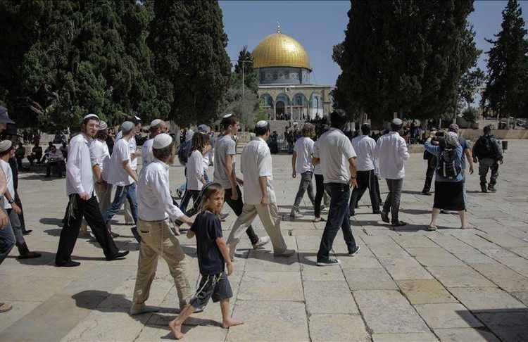 Dozens of Israeli settlers storm Al Aqsa Mosque 2 - Egyptian Gazette Dozens of Israeli settlers storm Al Aqsa Mosque 1 - Egyptian Gazette