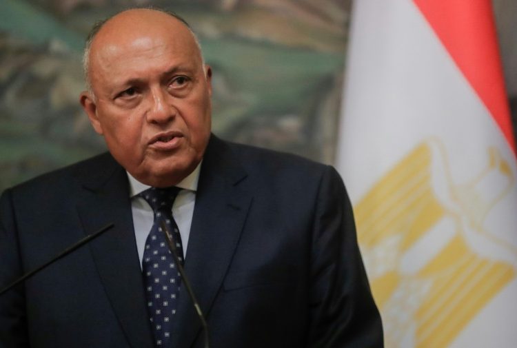 FM takes part in Arab meeting to counter Israeli policies in Al Quds 1 - Egyptian Gazette