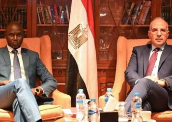 Egypt, South Sudan review joint water projects