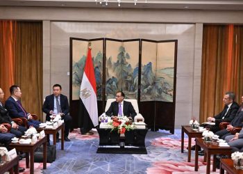PM: Cairo, Beijing agree on necessity of upping Chinese investments in Egypt