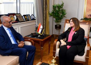 Emigration minister says preparations ongoing for virtual meeting with expats