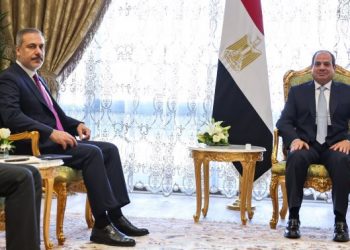 Egypt, Turkey assert significance of finding permanent solution to tension between Palestinians, Israelis