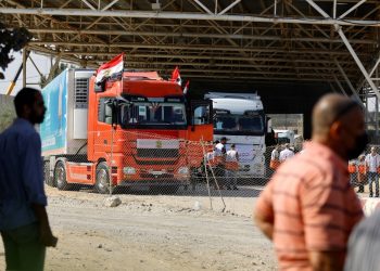 Japanese foreign ministry spox: Egypt plays pivotal role to end Palestinian-Israeli conflict