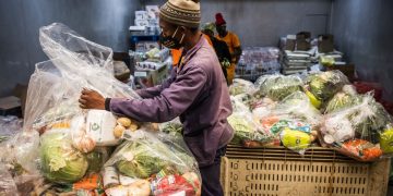 Almost half of South Africans likely to go hungry in 2025, study finds