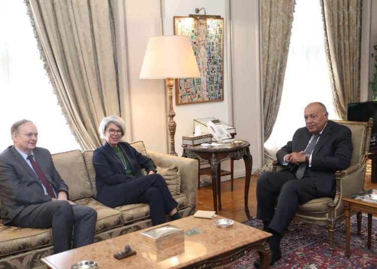 FM calls for respecting Sudan's sovereignty, maintaining its institutions 1 - Egyptian Gazette