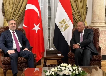 Shoukry, Fidan hold lengthy talks on joint cooperation, Gaza crisis