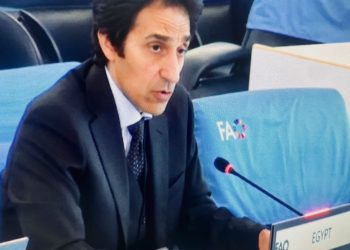 Egypt calls for int’l ban on use of food, medicine as weapons